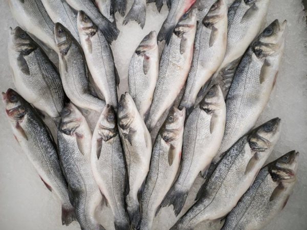 Sea bass australian – un pește care cucerește România prin gust autentic și exotism culinar